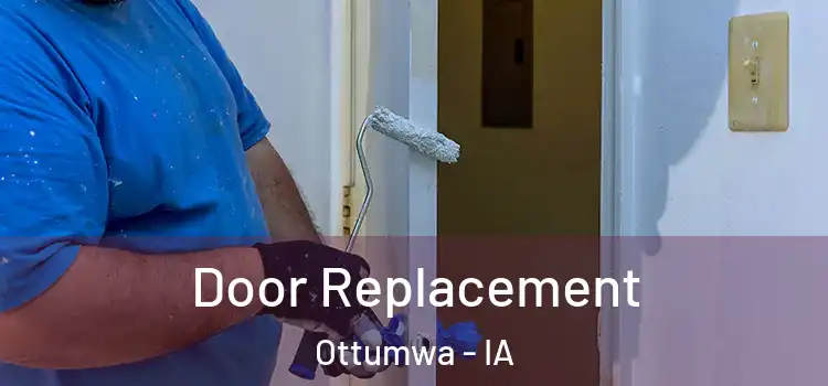  Door Replacement Ottumwa - IA
