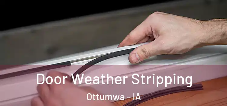 Door Weather Stripping Ottumwa - IA