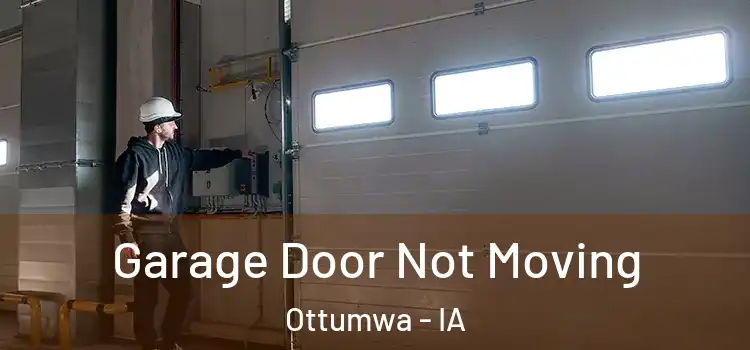  Garage Door Not Moving Ottumwa - IA