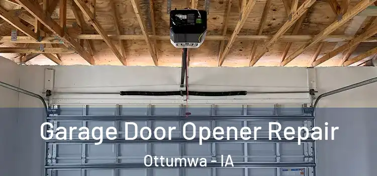  Garage Door Opener Repair Ottumwa - IA