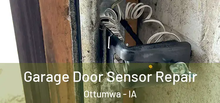 Garage Door Sensor Repair Ottumwa - IA