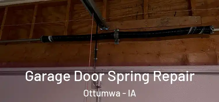  Garage Door Spring Repair Ottumwa - IA