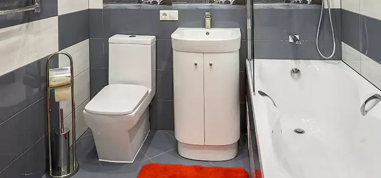 Hansgrohe Shaving Mirror Ottumwa